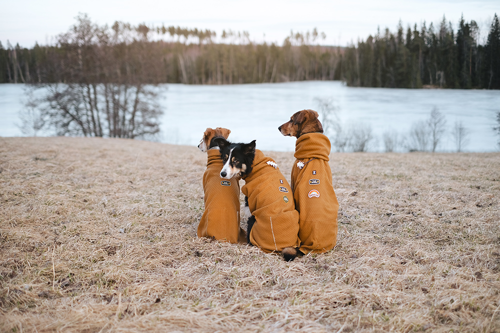 Early spring in Sweden, dog photography, adventure dogs, Hurtta ambassador, www.DOGvision.eu