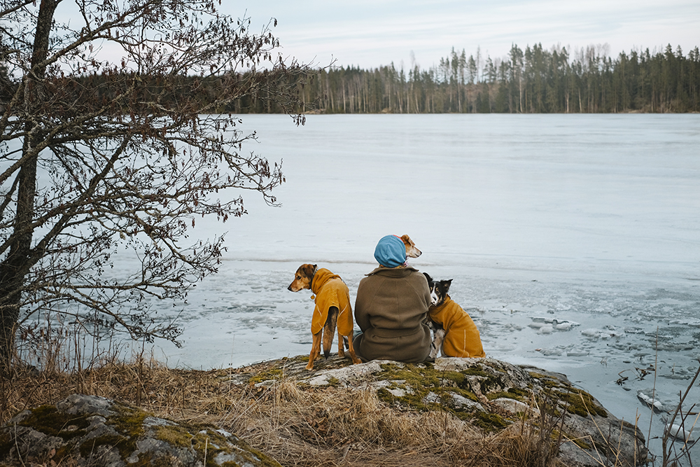 Early spring in Sweden, dog photography, adventure dogs, Hurtta ambassador, www.DOGvision.eu