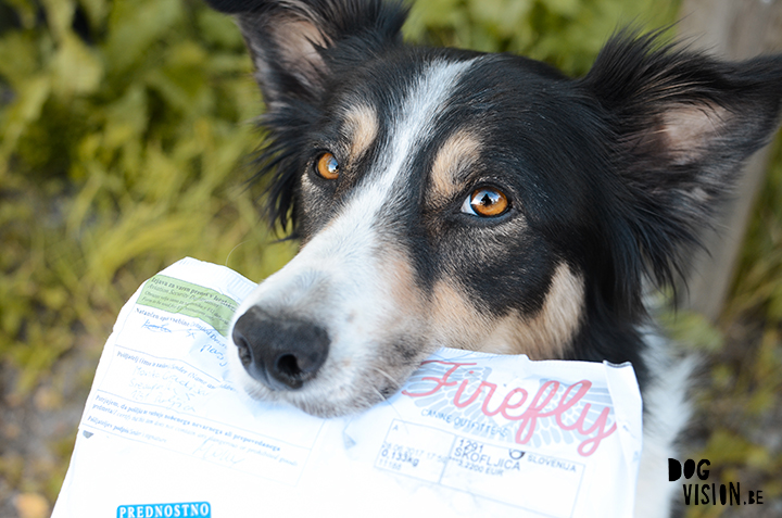 Look what we got: mail from Firefly canine outfitters | dog photography | Border Collie | dogs in Sweden | www.DOGvision.be