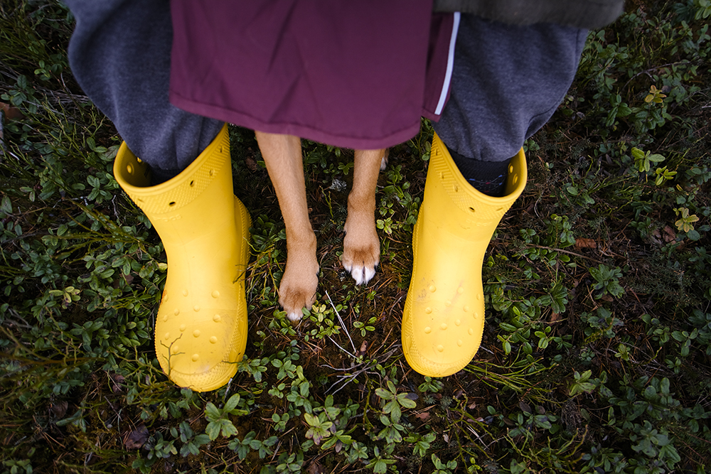 Yellow rainboots (crocs) and dog paws, dog photography, Hurtta ambassador, www.DOGvision.eu