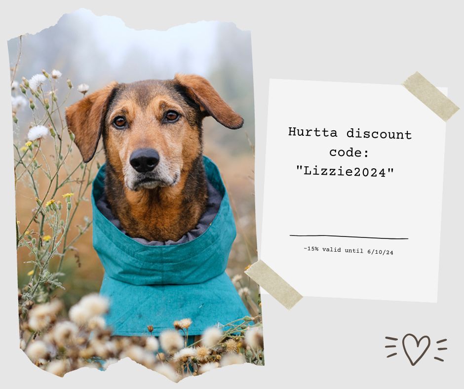 Hurtta outdoor dog gear, discount code DOGvision.eu