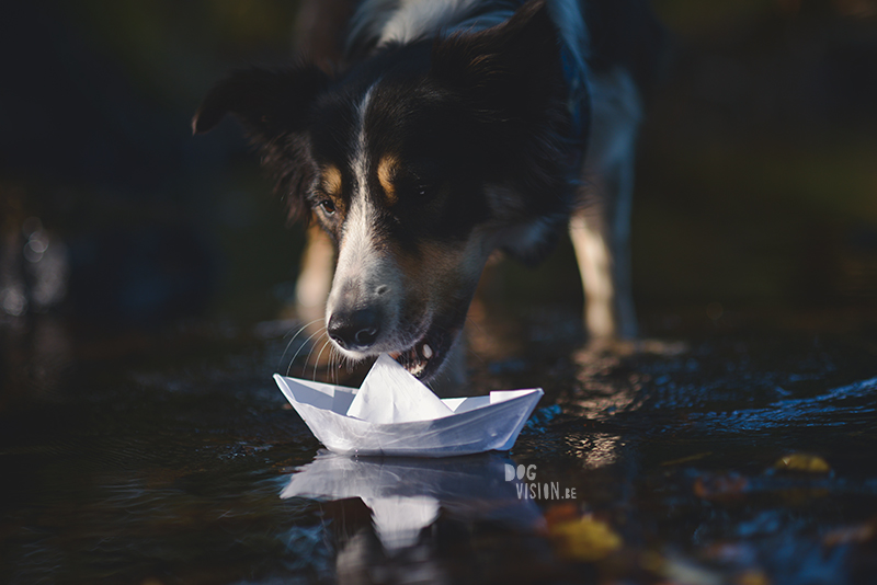 Riverside | Border Collie | creative dog photography | paper boat | The story behind the photo, blog on www.DOGvision.be (Hondenfotografie)