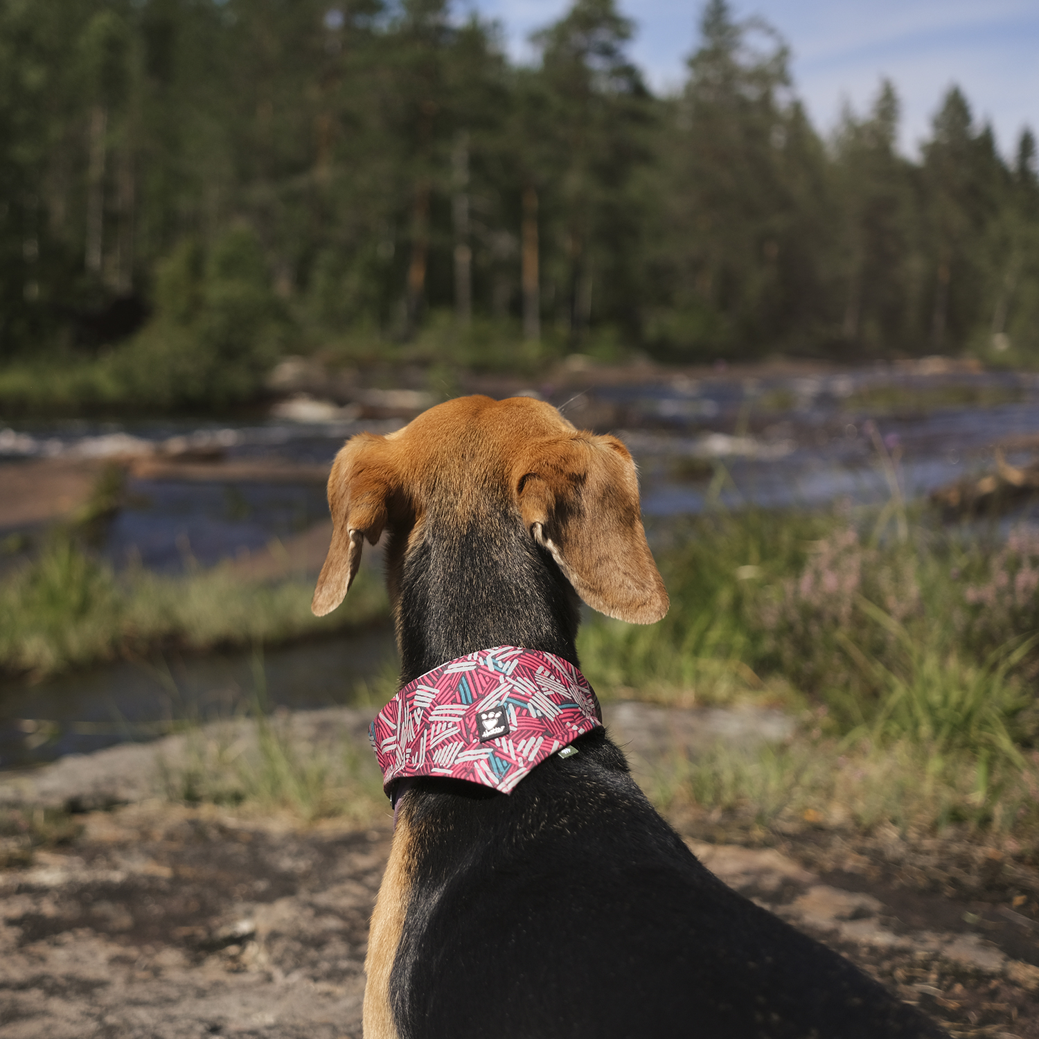 Reflective bandana for dogs, Hurtta safety wear, www.DOGvision.eu