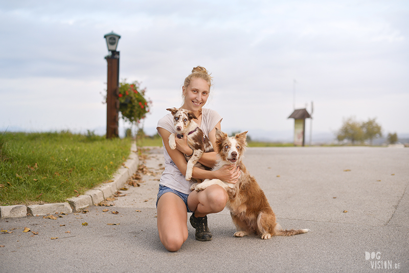 Anja Troha, road trip with dogs to Slovenia, traveling with dogs, dog photographer, dog blogger, creative dog photography, www.DOGvision.eu