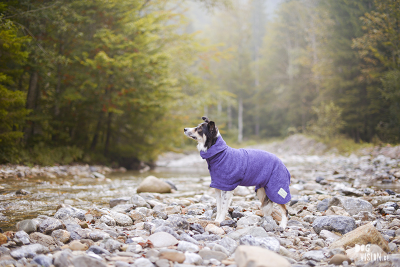 road trip with dogs to Slovenia, traveling with dogs, dog photographer, dog blogger, creative dog photography, www.DOGvision.eu