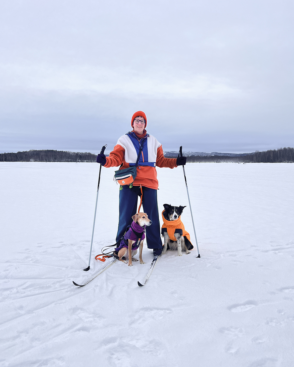 Skijoring on a frozen lake, Sweden, www.DOGvision.eu