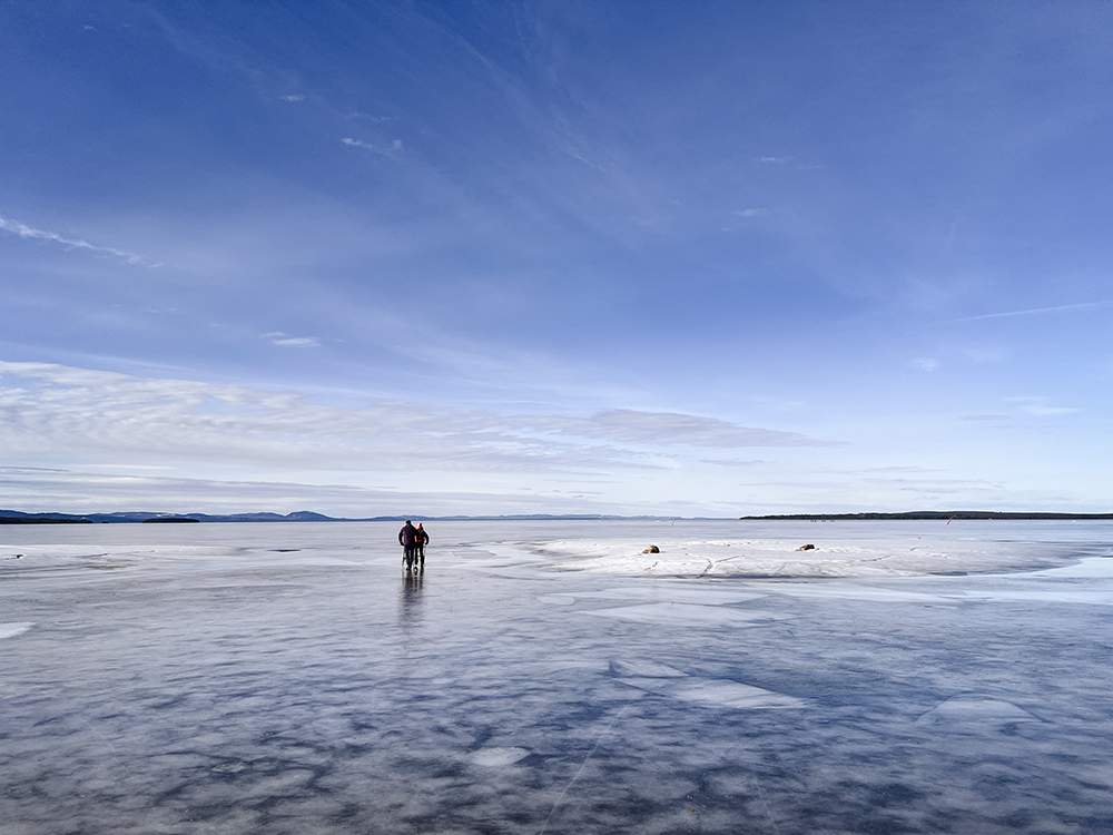 Sunny days on the ice with the dogs, ice skating in Dalarna, www.DOGvision.eu