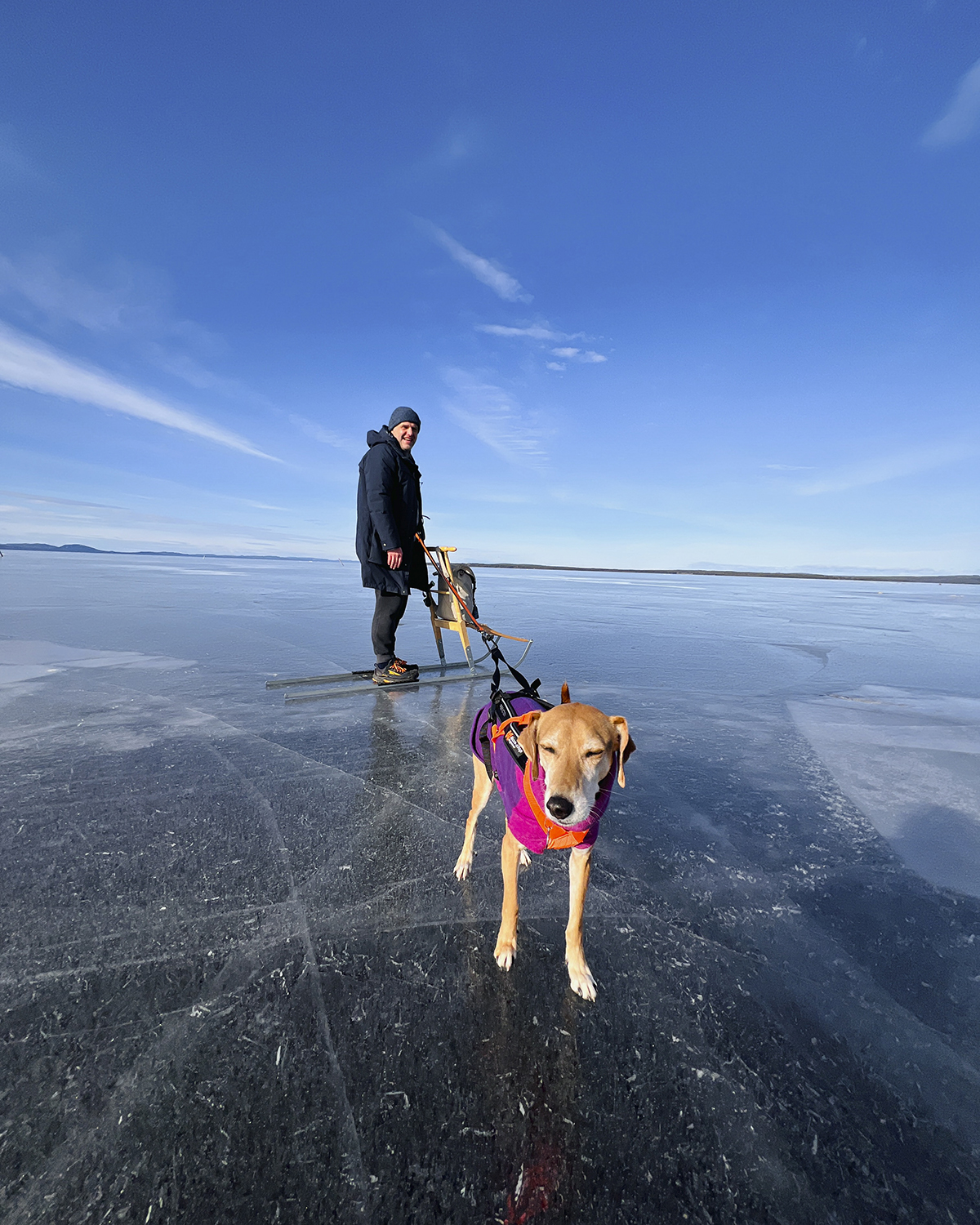 Sunny days on the ice with the dogs, ice skating in Dalarna, www.DOGvision.eu