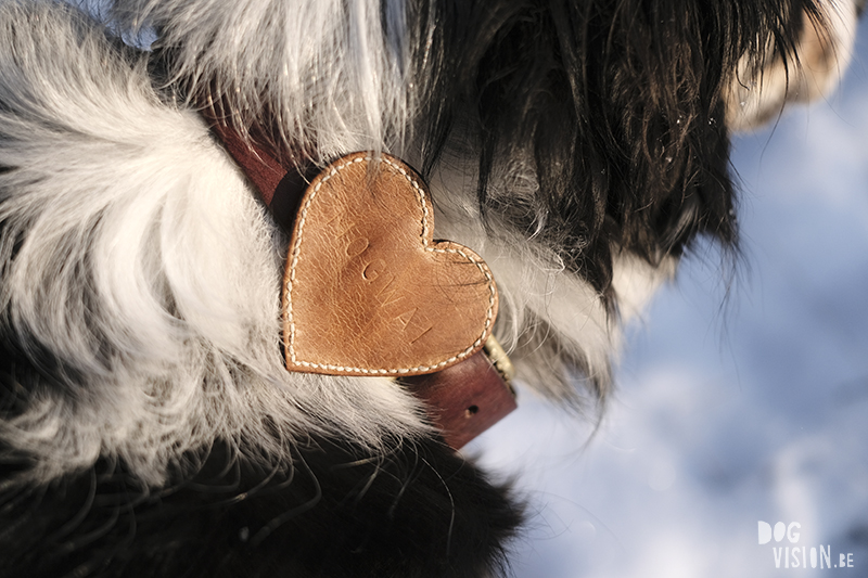 DIY dog Valentine, leather heart for dog collar, creative dog lover, www.DOGvision.eu