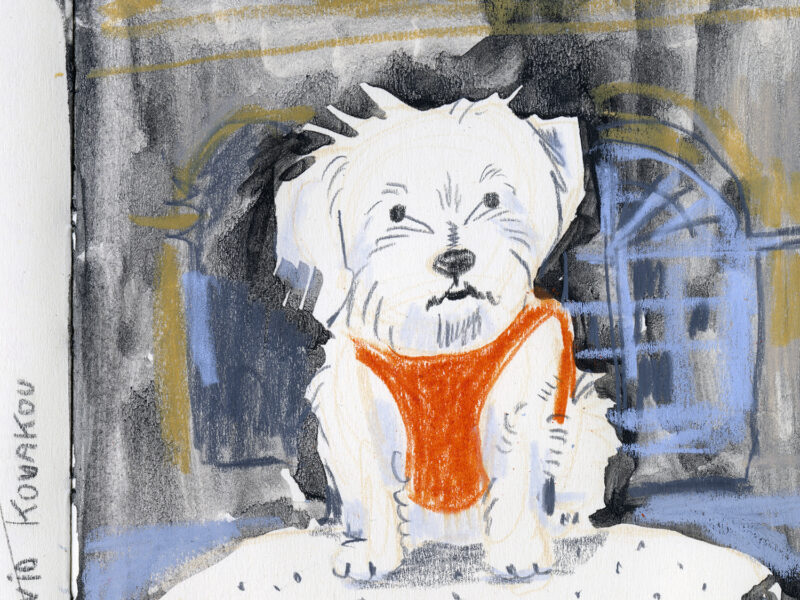 Daily dog drawing challenge, dog illustration, dogs of Instagram drawings, www.DOGvision.eu