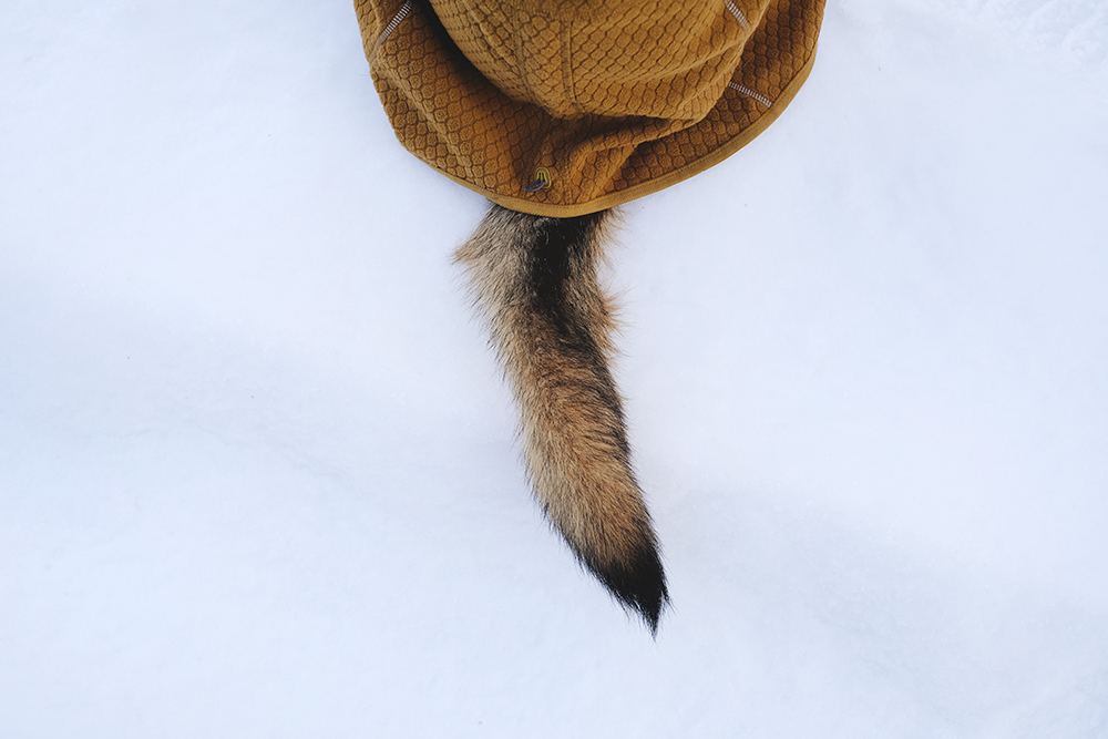 Hiking with dogs in Sweden, Nordic winter, dog photography, Border Collie, senior dog, www.DOGvision.eu