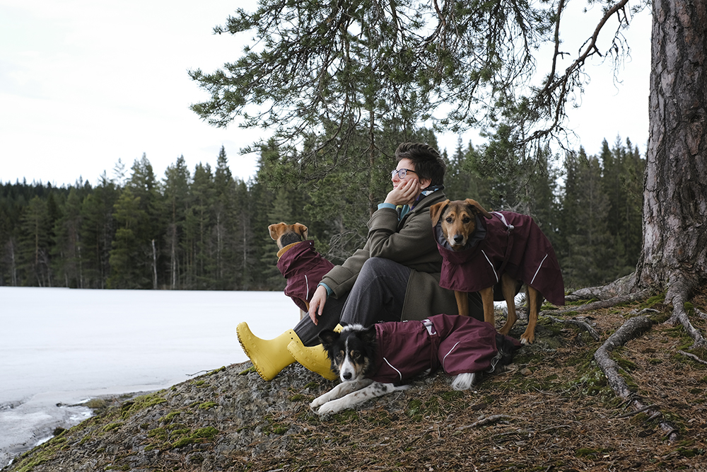 Hurtta Mudventure coat, Hurtta ambassador, hiking with dogs in Sweden, early spring, www.DOGvision.eu