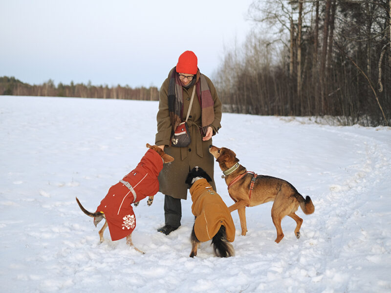 Winter in Sweden, hiking with dogs, mirrorless dog photography, Hurtta ambassador, www.DOGvision.eu