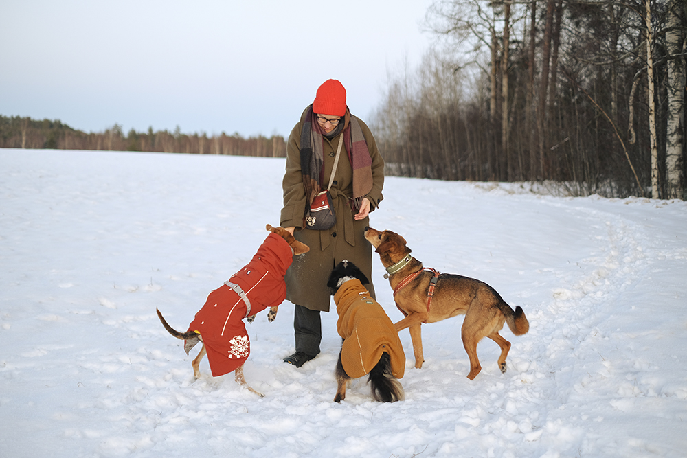 Winter in Sweden, hiking with dogs, mirrorless dog photography, Hurtta ambassador, www.DOGvision.eu