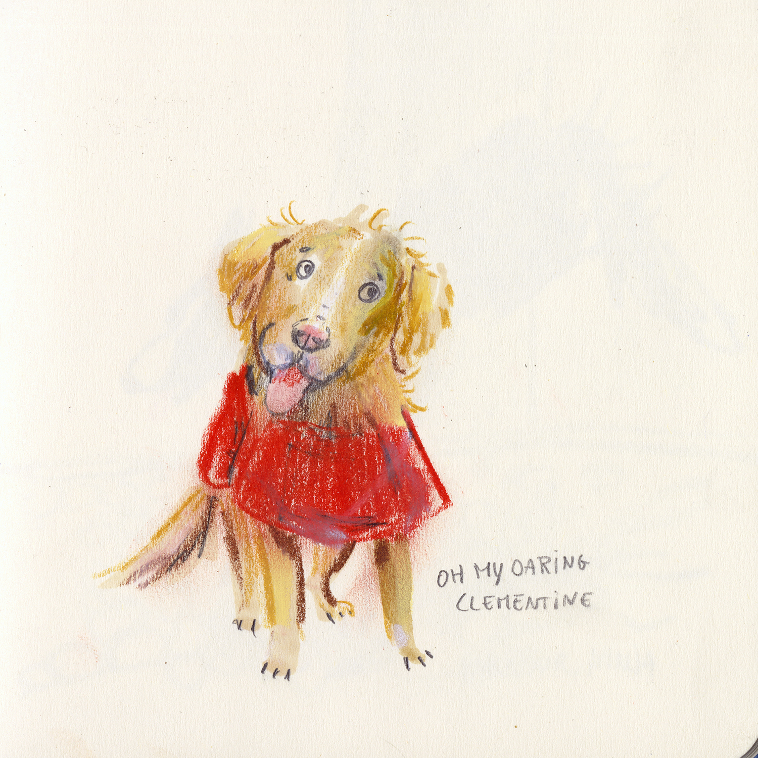 Daily dog drawing challenge, dog illustration, dogs of Instagram drawings, www.DOGvision.eu