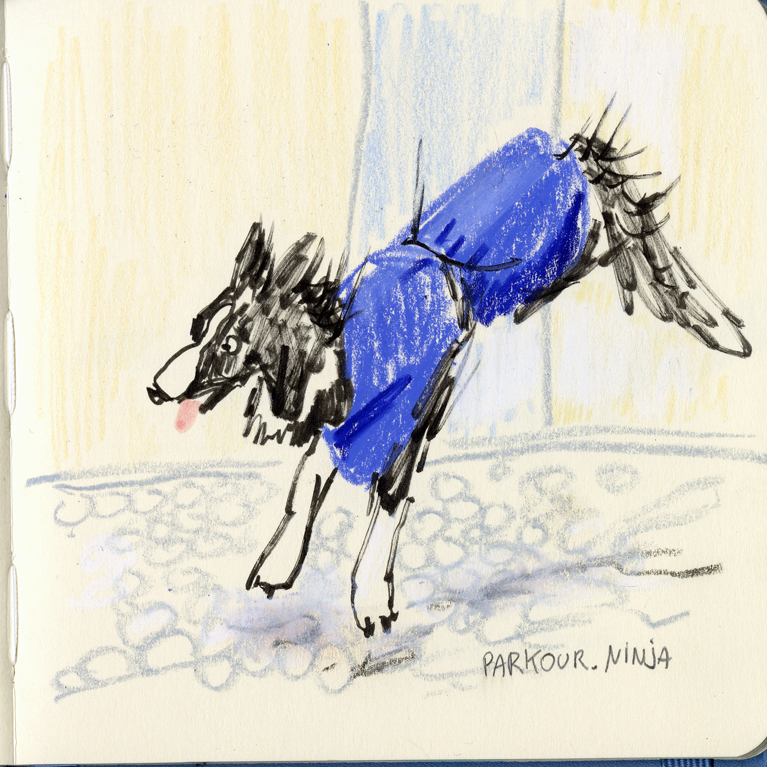 Daily dog drawing challenge, dog illustration, dogs of Instagram drawings, www.DOGvision.eu