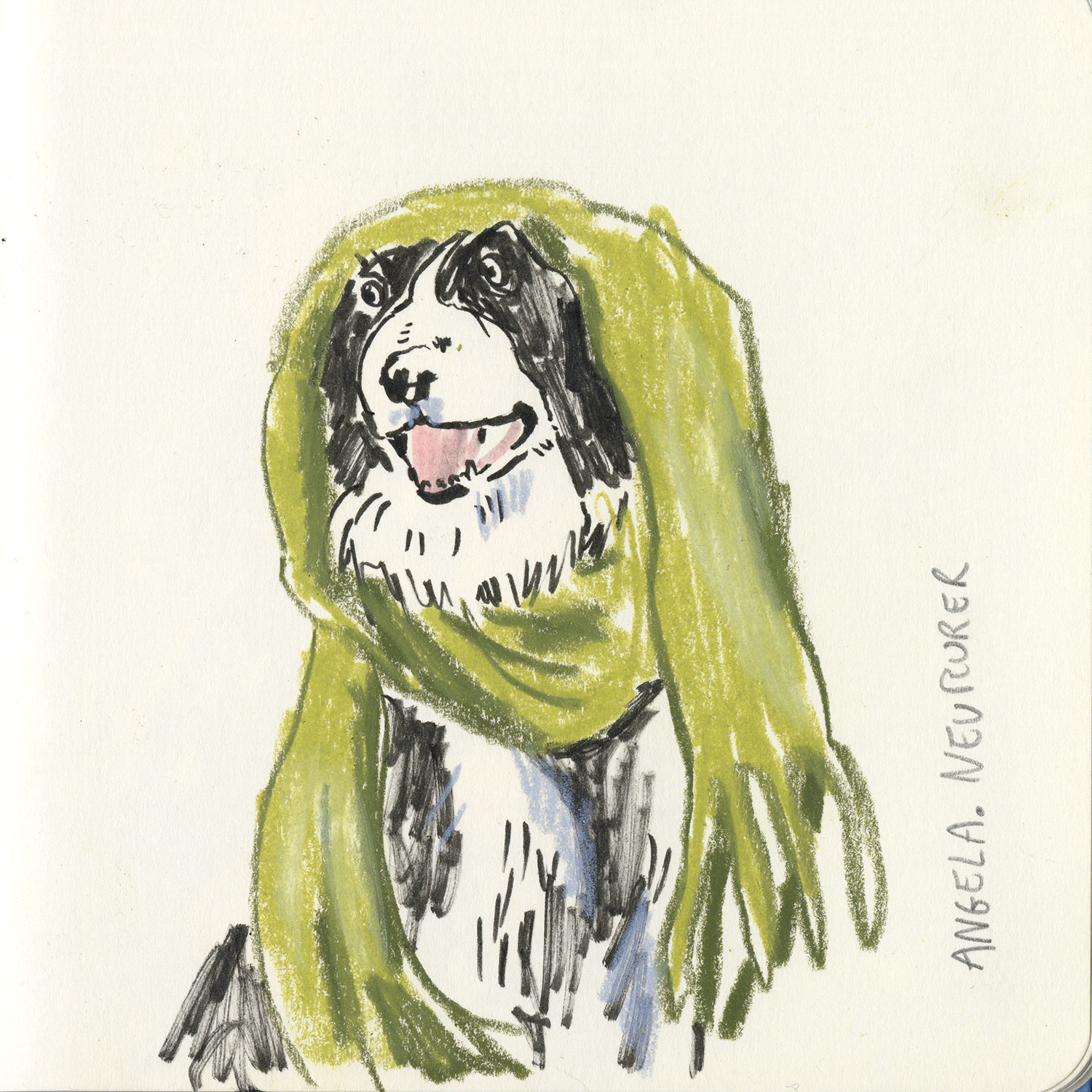 Daily dog drawing challenge, dog illustration, dogs of Instagram drawings, www.DOGvision.eu