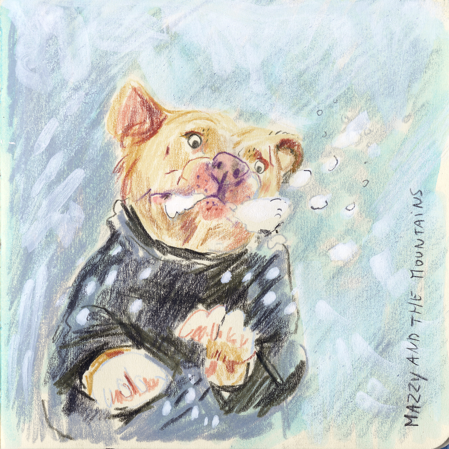 Daily dog drawing challenge, dog illustration, dogs of Instagram drawings, www.DOGvision.eu