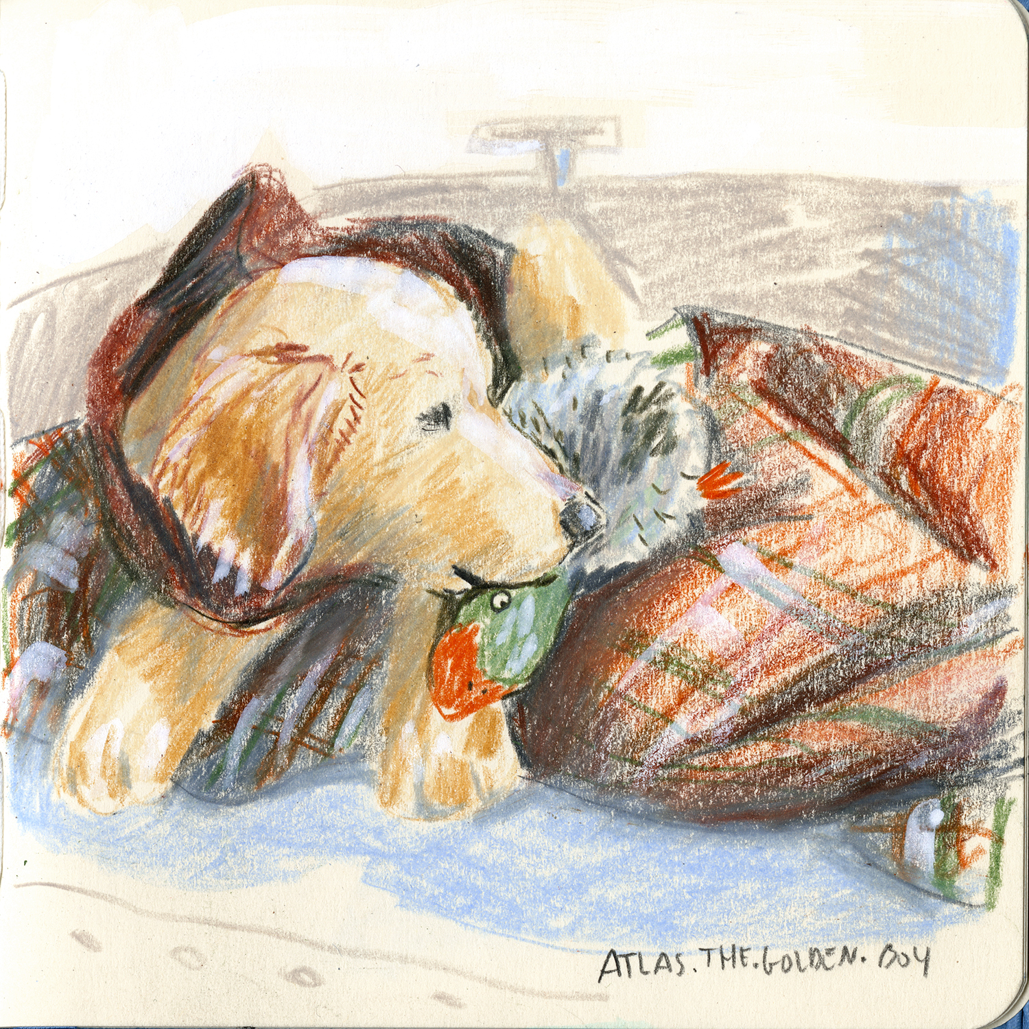 Daily dog drawing challenge, dog illustration, dogs of Instagram drawings, www.DOGvision.eu