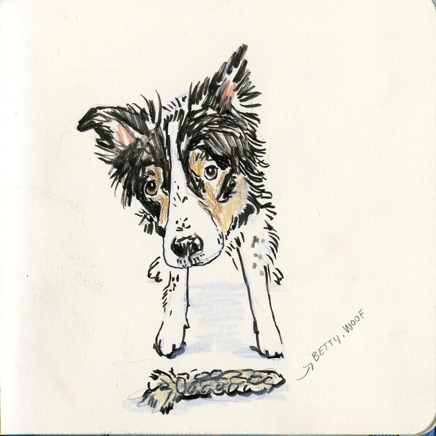 Daily dog drawing challenge, dog illustration, dogs of Instagram drawings, www.DOGvision.eu