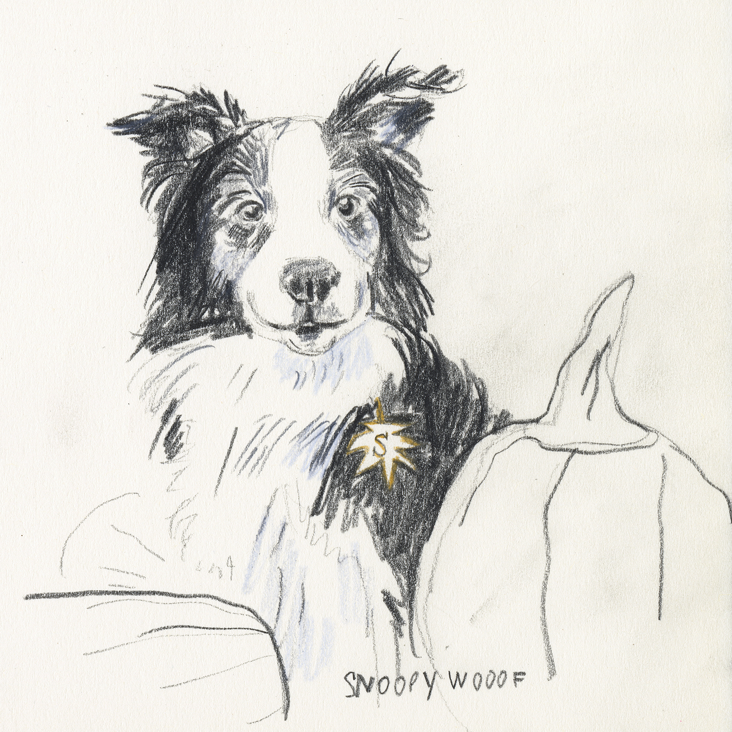 dog drawing challenge, dog illustration, dog sketches, www.DOGvision.eu