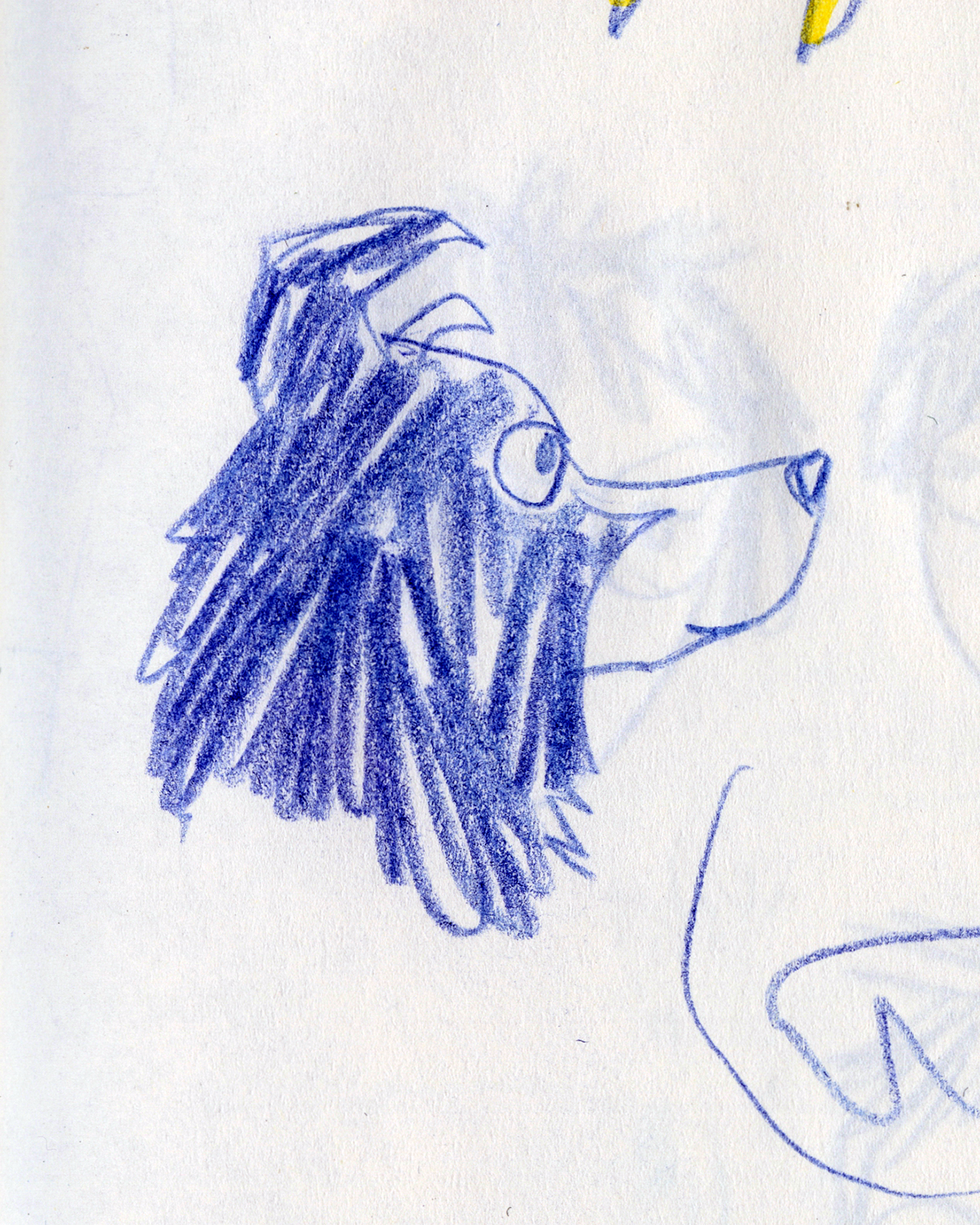 dog drawing challenge, dog illustration, dog sketches, www.DOGvision.eu