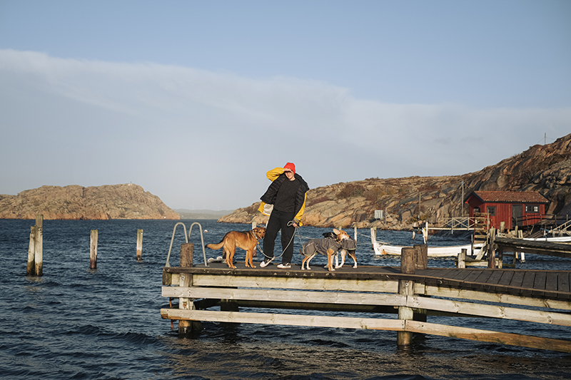 Traveling Sweden with dogs, dog photography, hiking with dogs, www.DOGvision.eu