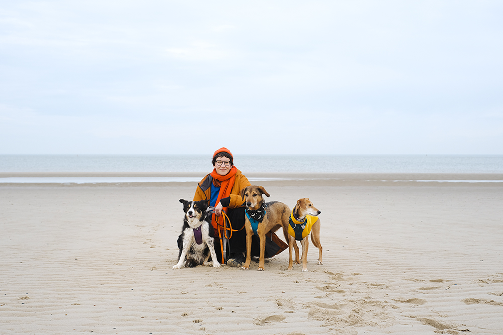 Border Collie Lunatale Mogwai 12 years old, beach walk, www.DOGvision.eu