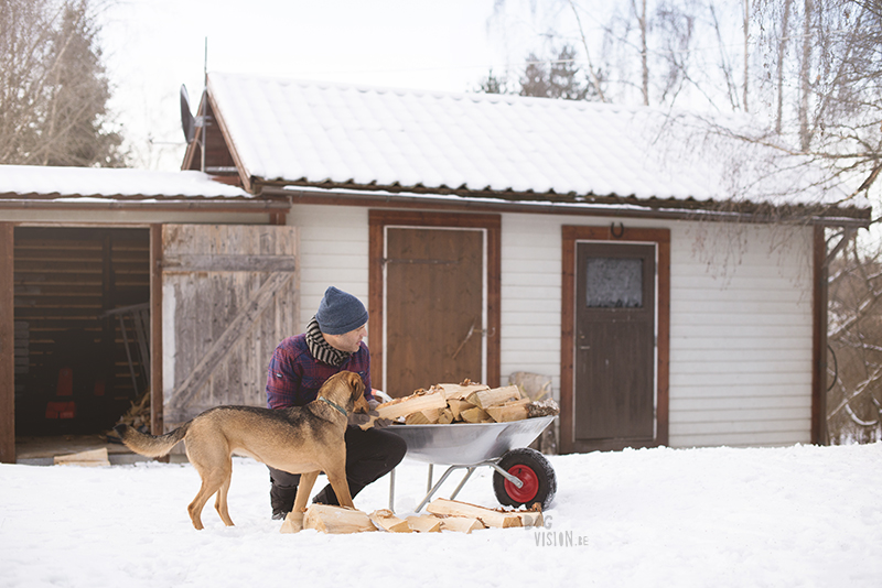 Life in Sweden with dogs, dog photography, www.DOGvision.eu