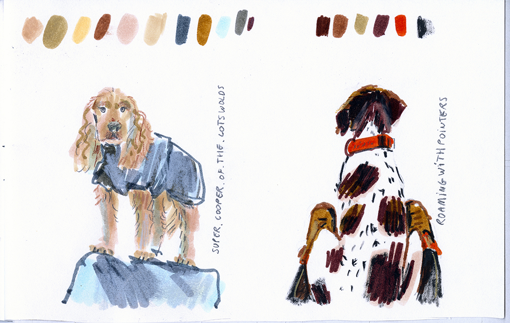 Daily dog drawings, dog sketches, dog illustration, www.DOGvision.eu