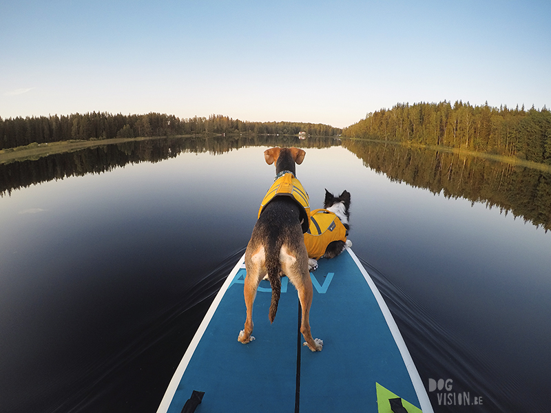 Paddling with dogs, SUP with dogs, outdoor adventures with dogs in Sweden, dog photography DOGvision, www.DOGvision.eu