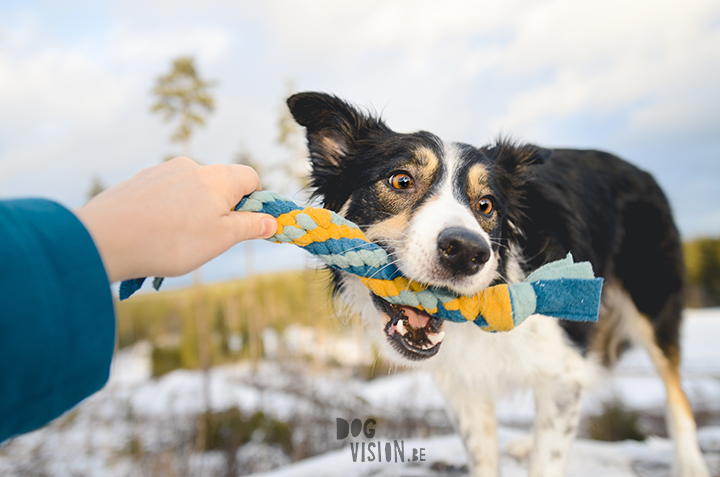 DIY: Fleece tug toy | www.DOGvision.eu