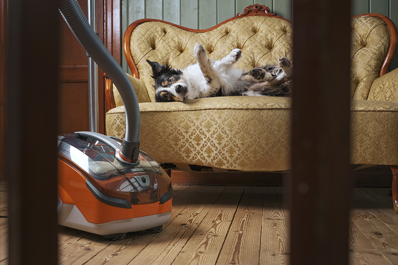 Thomas vacuum cleaner, hoover, life with dogs blog, Sweden, www.DOGvision.eu