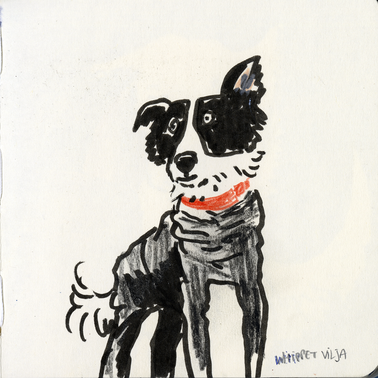 Dog drawings and illustration, Fenne, www.DOGvision.eu