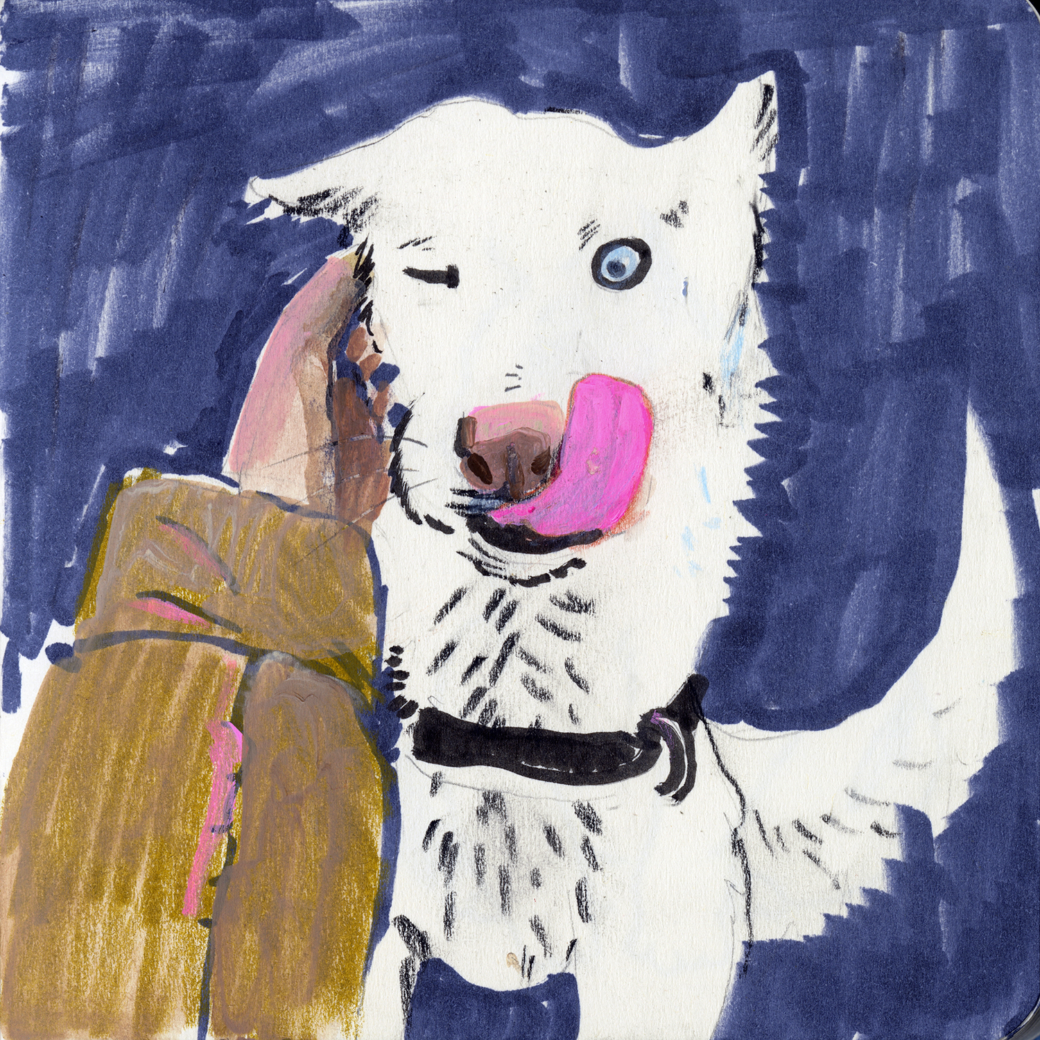 Dog drawings and illustration, Fenne, www.DOGvision.eu