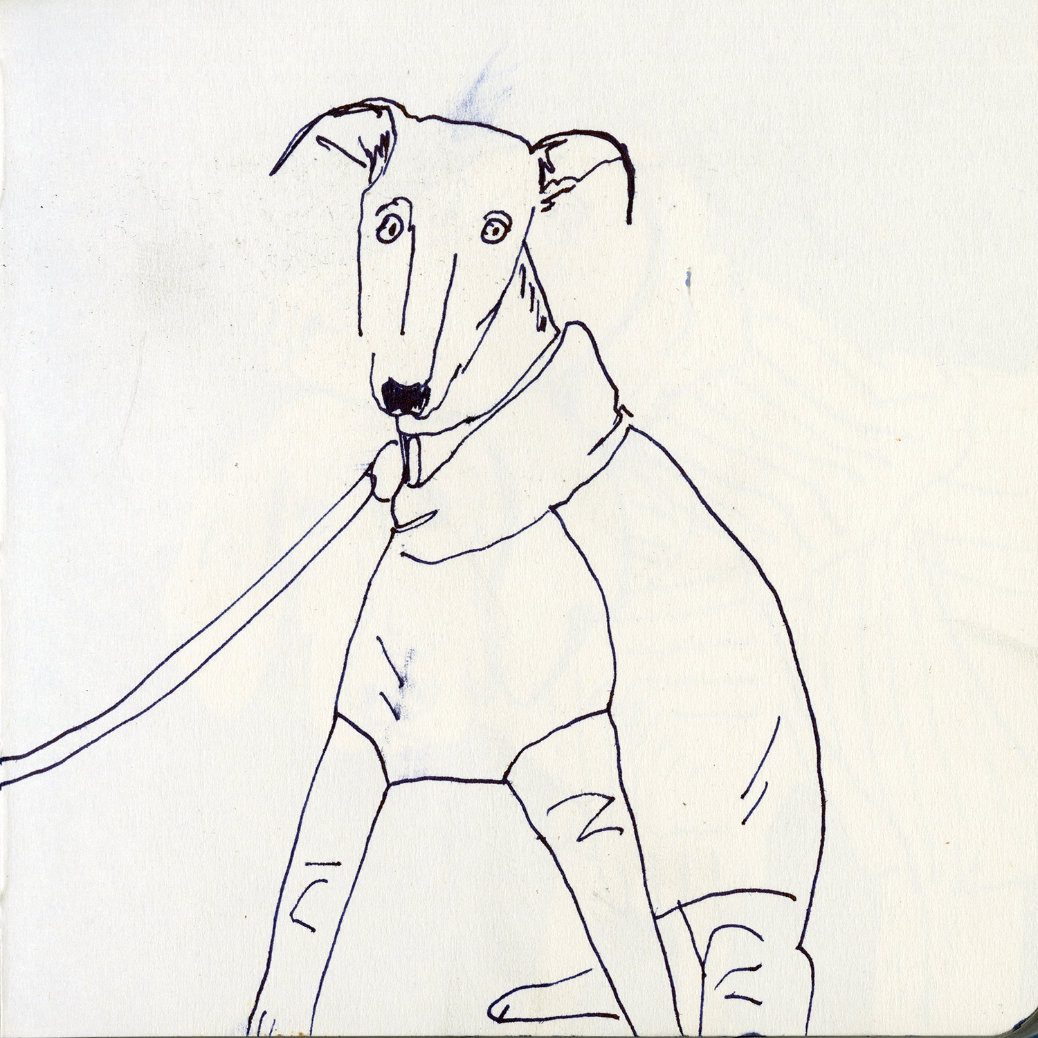 Dog drawings and illustration, Fenne, www.DOGvision.eu