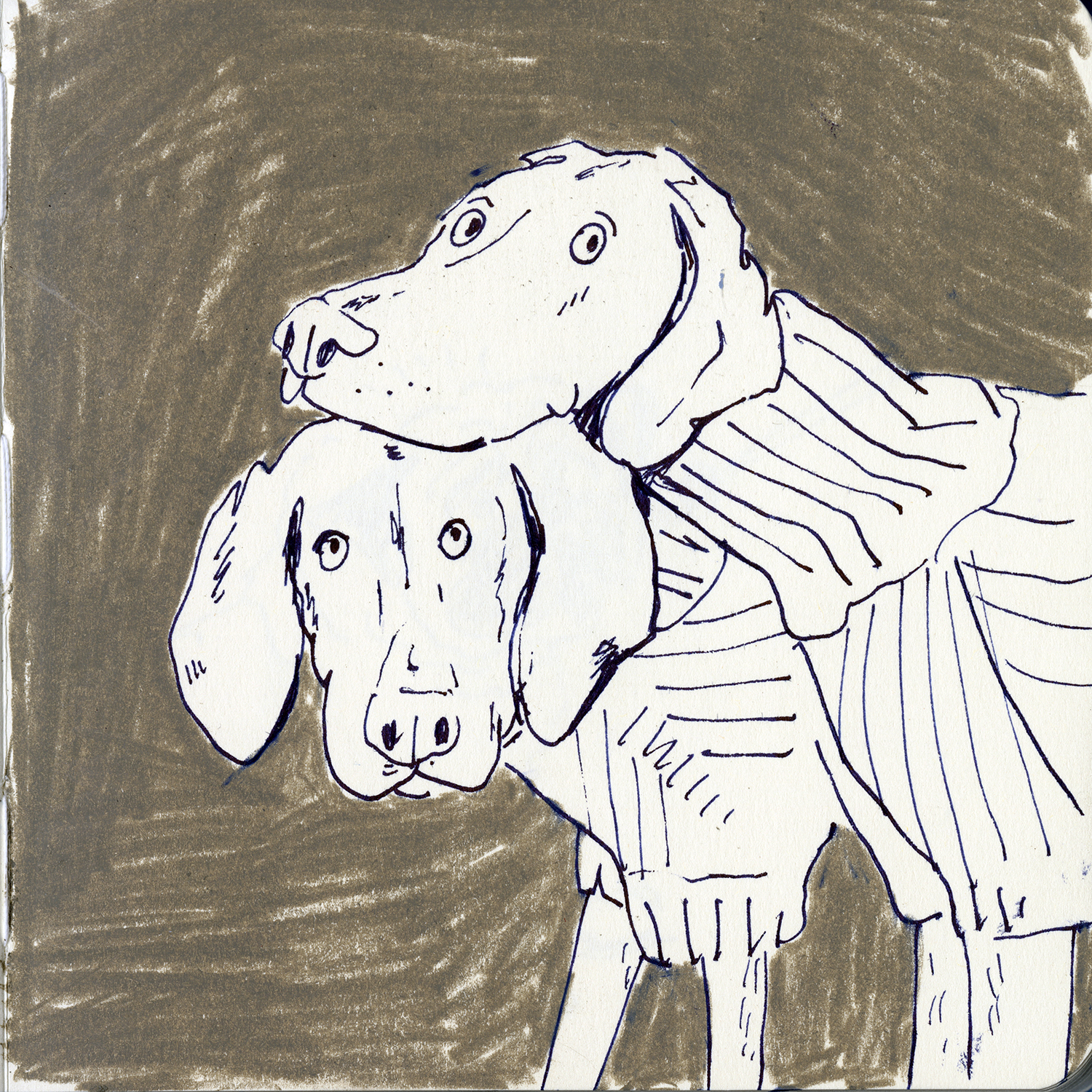 Dog drawings and illustration, Fenne, www.DOGvision.eu