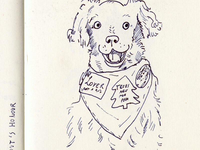 Dog drawings and illustration, Fenne, www.DOGvision.eu