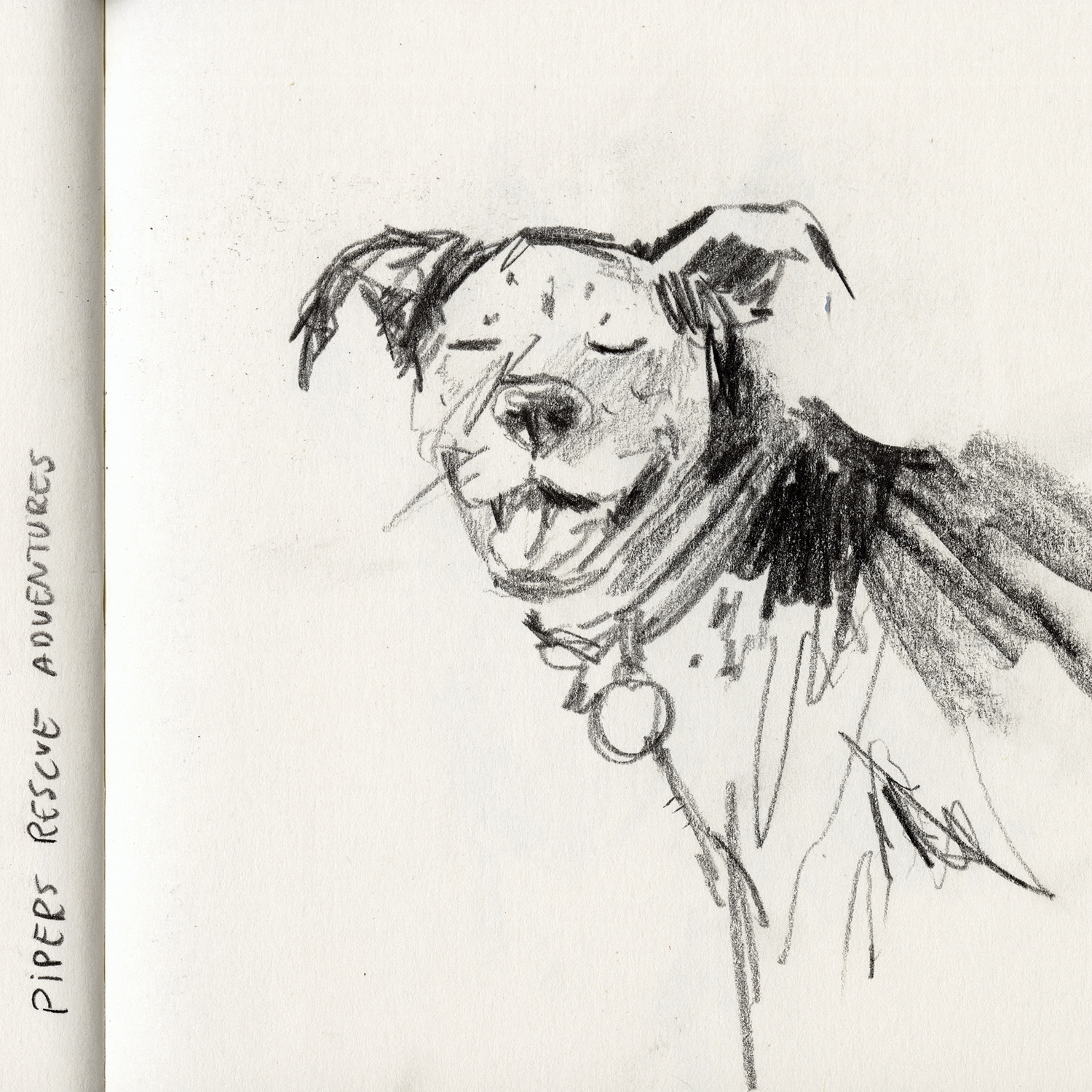 Dog drawings and illustration, Fenne, www.DOGvision.eu