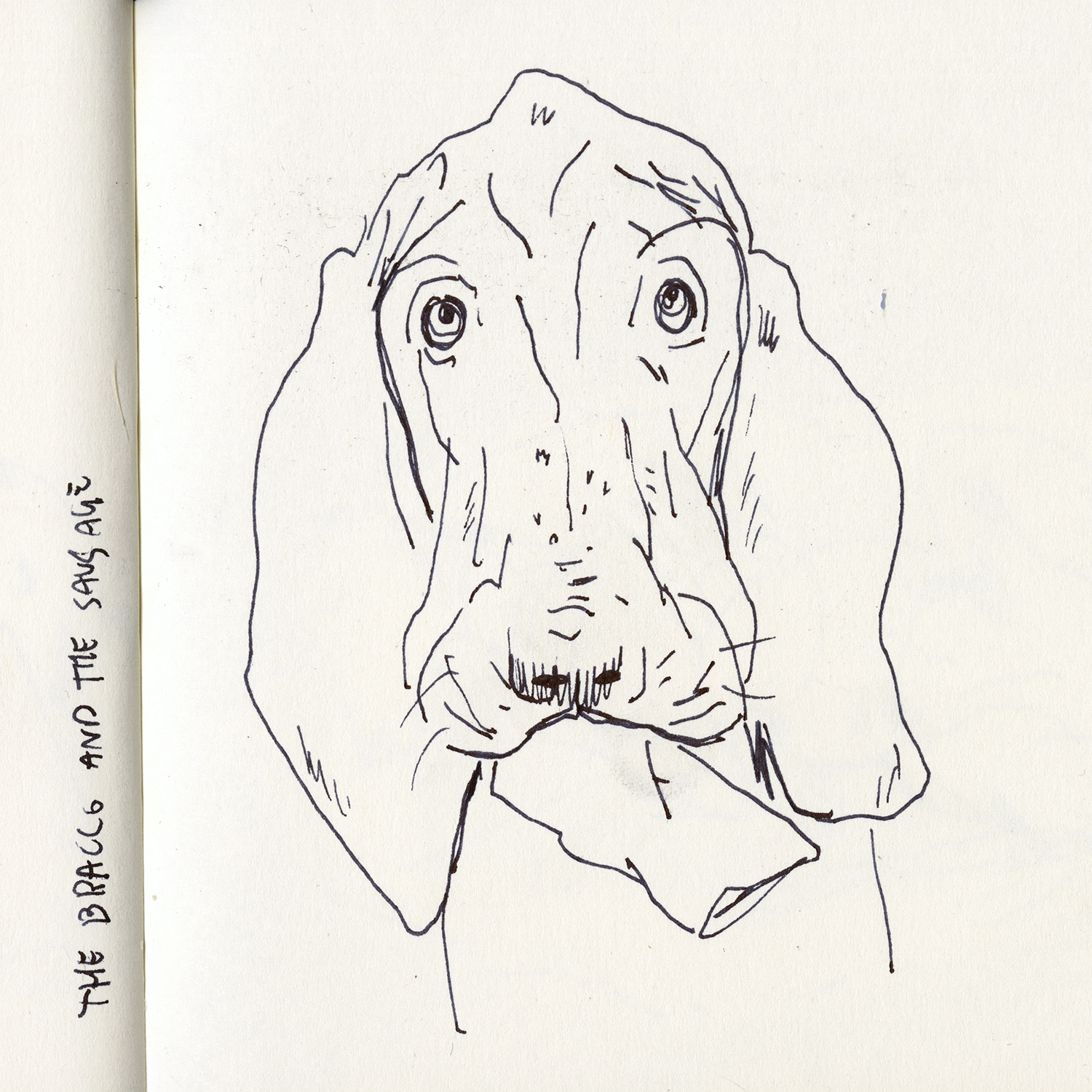 Dog drawings and illustration, Fenne, www.DOGvision.eu