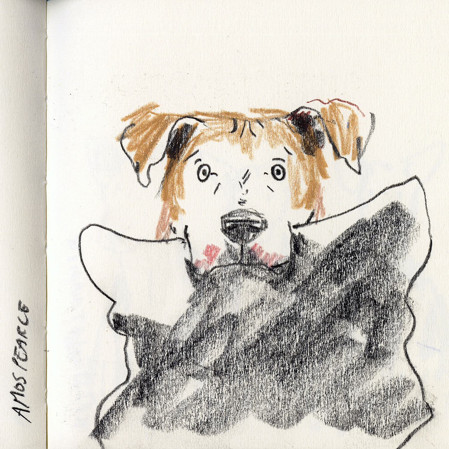 Dog drawings and illustration, Fenne, www.DOGvision.eu