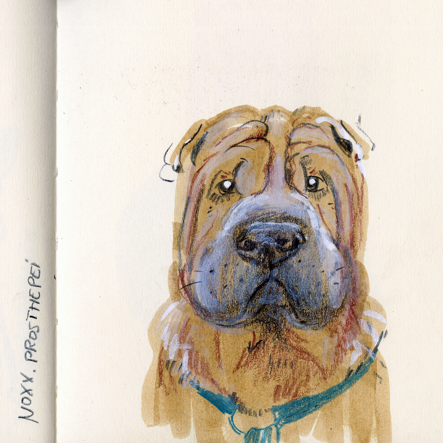 Dog drawings and illustration, Fenne, www.DOGvision.eu