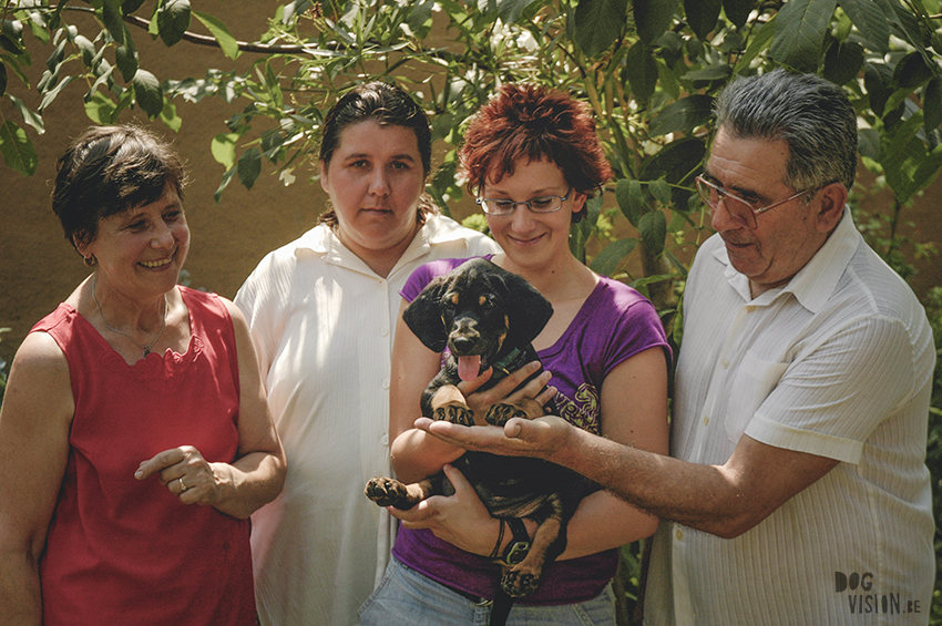 Augustus 2005 Erdelyi Kopo | transylvanian hound puppy | throwback thursday | www.DOGvision.eu