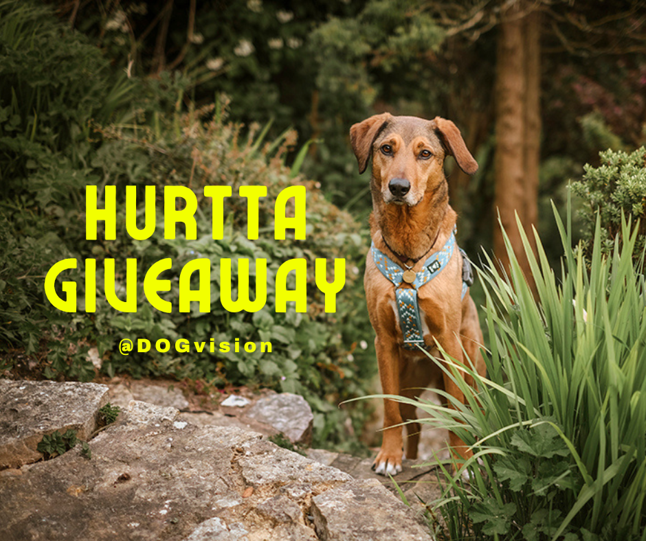 Hurtta giveaway DOGvision, Hurtta adventurer 2022, www.DOGvision.eu