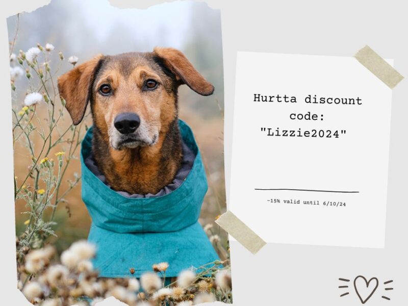 Hurtta outdoor dog gear, discount code DOGvision.eu