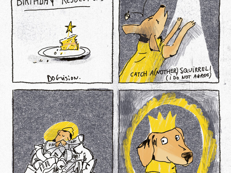 Birthday dog resolutions comic, dog drawing, www.DOGvision.eu