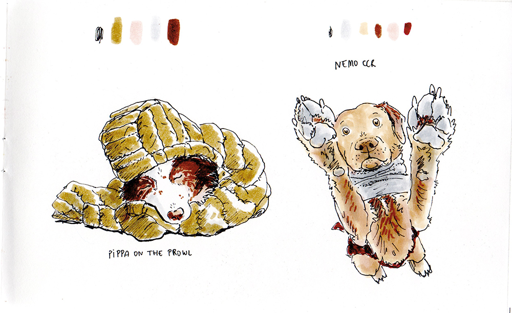 Daily dog drawing challenge, Border Collie and Chesapeake bay retriever, www.DOGvision.eu