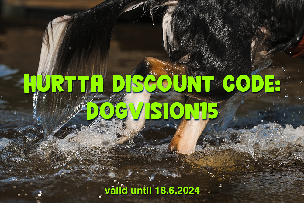 Hurtta spring discount code, dog photography Sweden, dog shake, swimming Border Collie, www.DOGvision.eu