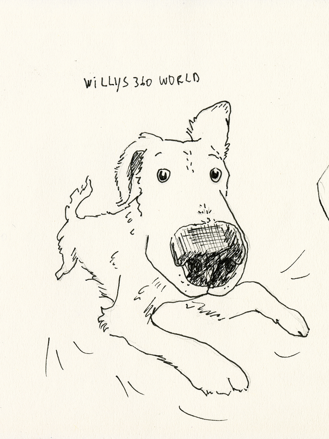 Daily dog drawing challenge, Instagram dog sketches, dog illustration, www.DOGvision.eu