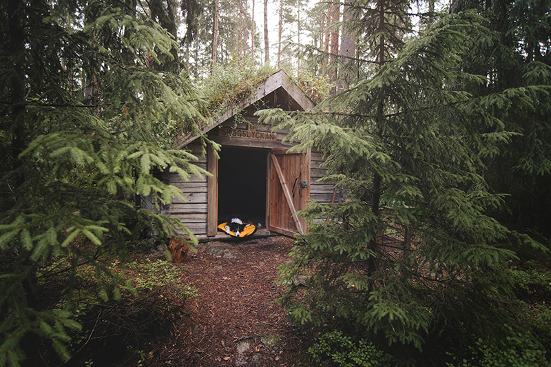 Traveling and camping with dogs, Kolarbyn eco lodge Sweden, primitive cabins, Border Collie, dog photography, www.DOGvision.eu